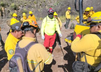 Controlan y liquidan incendio forestal en Galeana