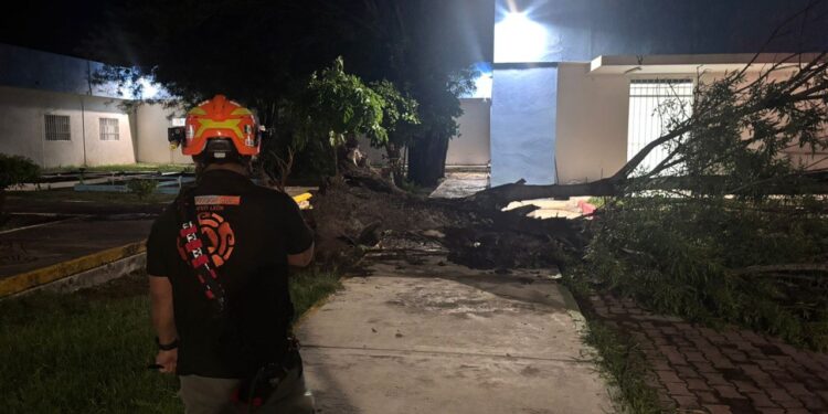 Lluvia y viento afectan la zona norte de NL
