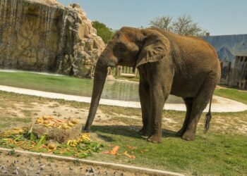 Monty celebrará su cumpleaños 19