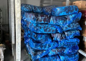 Catean bodega y hallan carne presuntamente robada