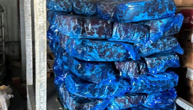 Catean bodega y hallan carne presuntamente robada