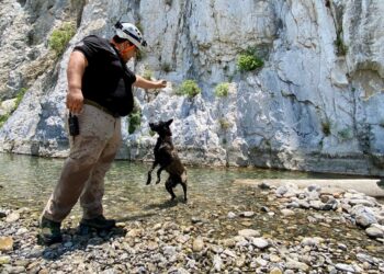 Rescate k9 de Santa Catarina recibe capacitación