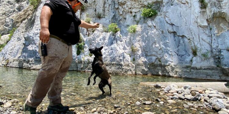 Rescate k9 de Santa Catarina recibe capacitación