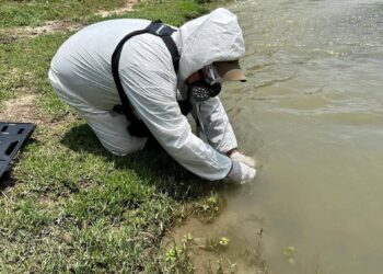 Investigan aparición de peces muertos en Pesquería