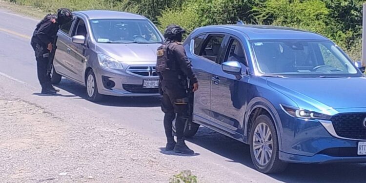 Mantienen operativo “Muralla” en zona citrícola