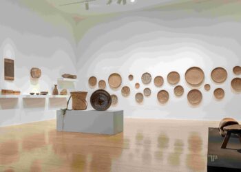 Presentan convergencias / divergencias en MARCO