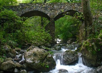 Deporte y conservación unidos en Carrera Estanzuela 2025