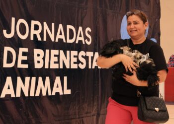 Esterilizan más de 100 mascotas en Monterrey