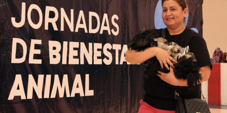 Esterilizan más de 100 mascotas en Monterrey