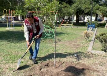 Santa Catarina impulsa el aumento de áreas verdes