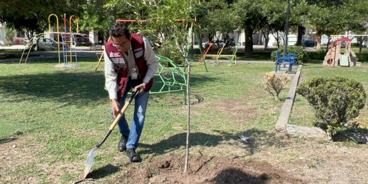 Santa Catarina impulsa el aumento de áreas verdes