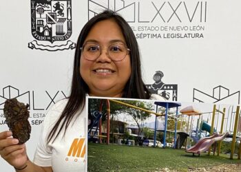 Busca MC que municipios se responsabilicen por negligencias en espacios públicos