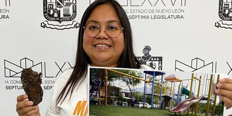 Busca MC que municipios se responsabilicen por negligencias en espacios públicos