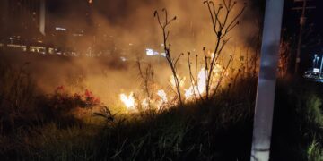 Se consumen 100 metros de maleza en el río Santa Catarina