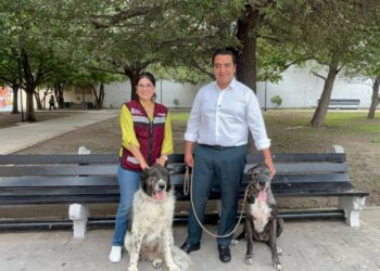 Realizan Feria de bienestar animal en Santa Catarina