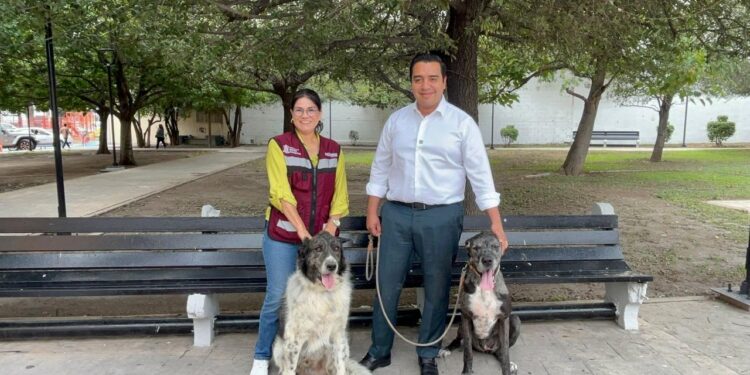 Realizan Feria de bienestar animal en Santa Catarina