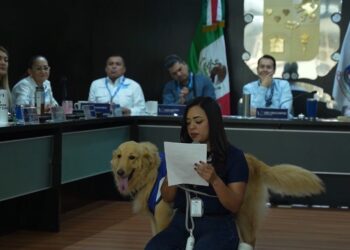 San Nicolás busca ser un municipio pet friendly