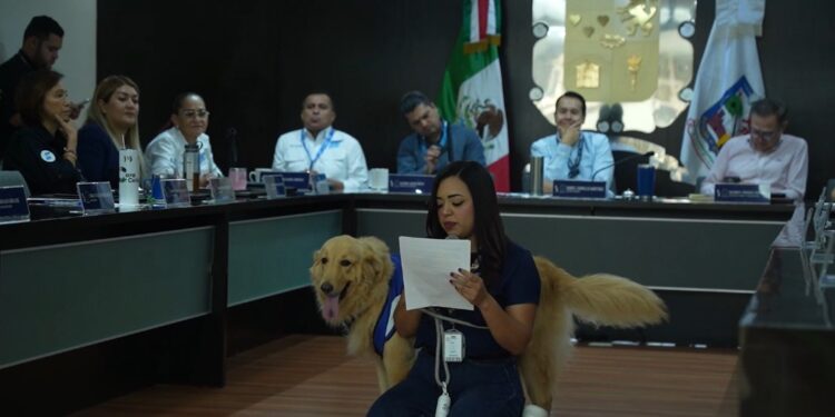 San Nicolás busca ser un municipio pet friendly