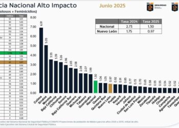 Seguridad NL 2025