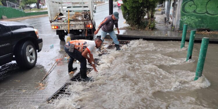 Guadalupe realiza limpieza de alcantarillas tras lluvias