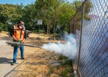 Intensifican acciones contra el dengue en Guadalupe