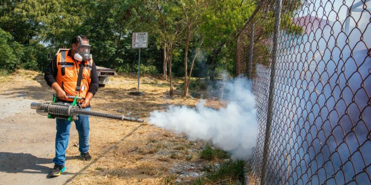 Intensifican acciones contra el dengue en Guadalupe