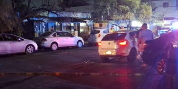 Cae árbol y provoca daños en vehículos