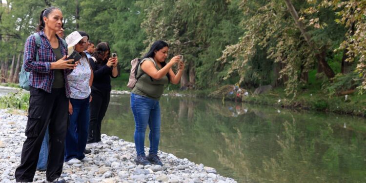 Maestros de Guadalupe como líderes ambientales