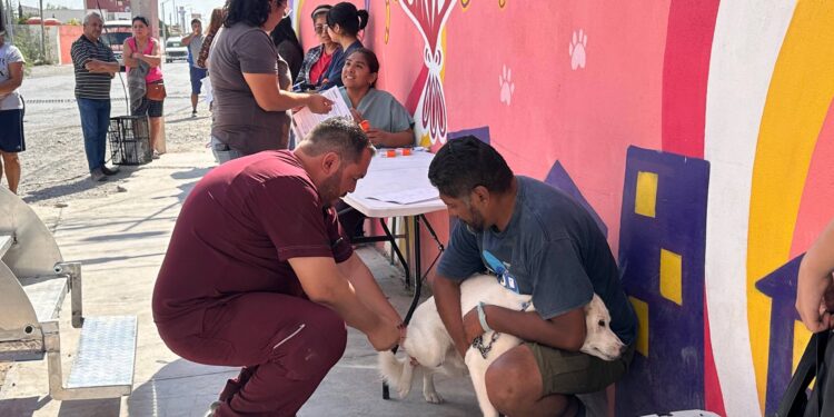 Arranca semana de vacunación antirrábica