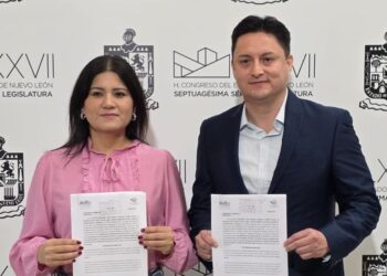 Proponen 6 meses por licencia de maternidad