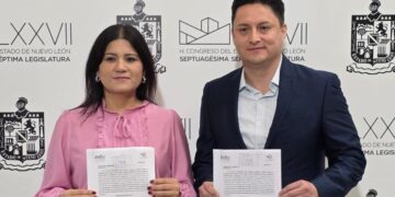 Proponen 6 meses por licencia de maternidad