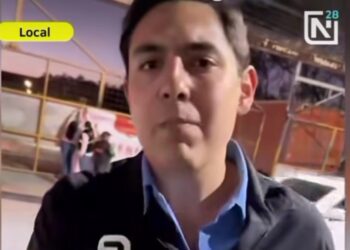 Apodaca sanciona taller por maltratar gatitos