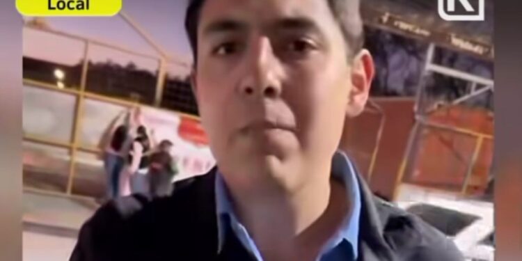 Apodaca sanciona taller por maltratar gatitos