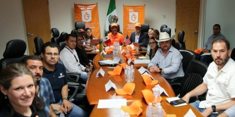 Ganado de NL, libre de gusano barrenador