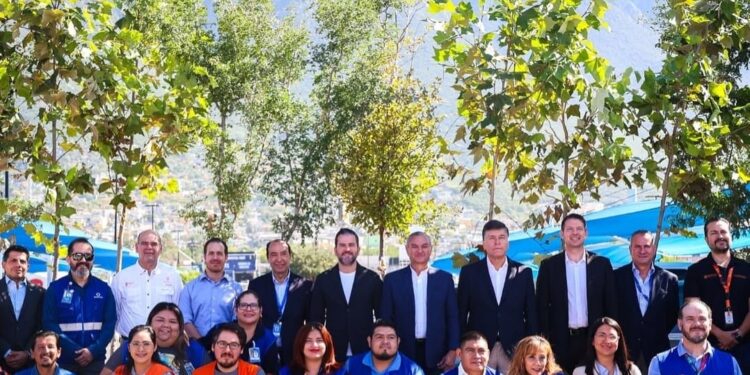 Plantarán árboles para eliminar calor en estacionamientos