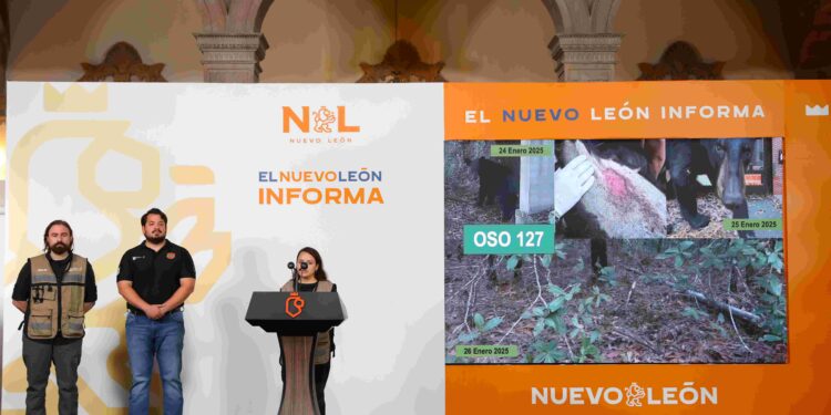 Reconocen a PVSNL por rescate de osos