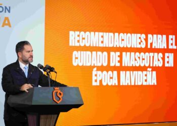 Piden evitar pirotecnia para cuidar a mascotas