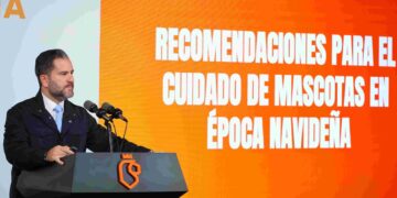 Piden evitar pirotecnia para cuidar a mascotas