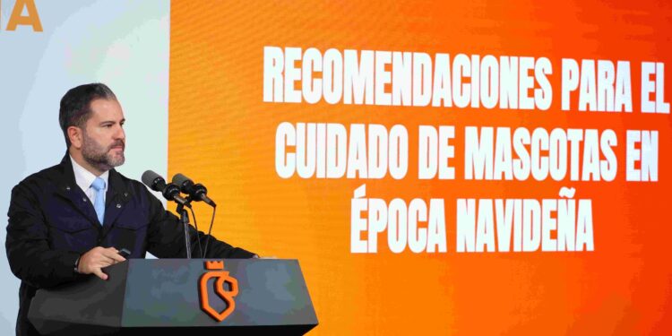 Piden evitar pirotecnia para cuidar a mascotas