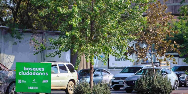 Renuevan entro de Monterrey con pulmón verde