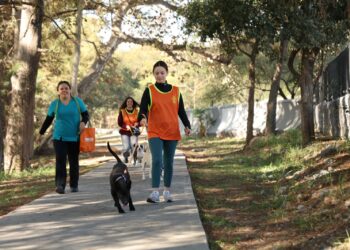 Voluntarios pasean perritos en adopcion