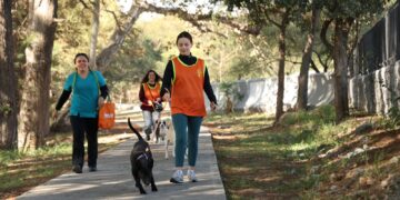 Voluntarios pasean perritos en adopcion