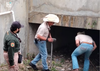 PVSNL Descarta avistamiento  de Puma