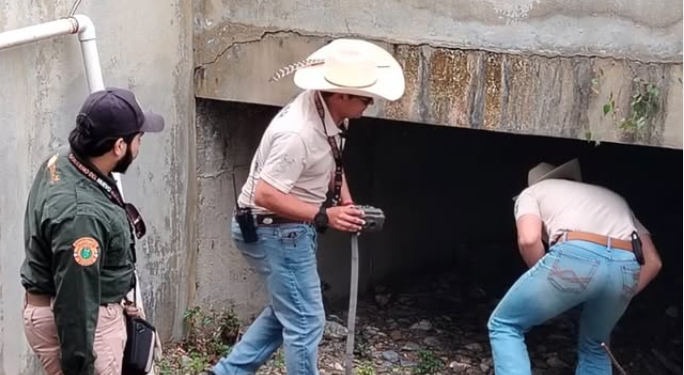 PVSNL Descarta avistamiento  de Puma