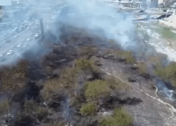 Cierra jueves con 382 incendios en NL