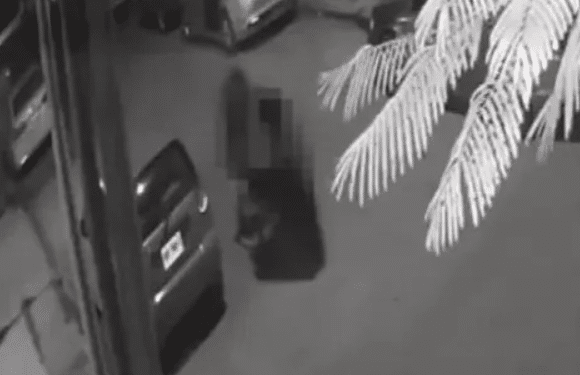 Vinculan a menor por feminicidio de Britany