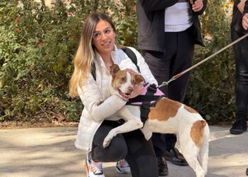 Adoptan a la perrita maratonista