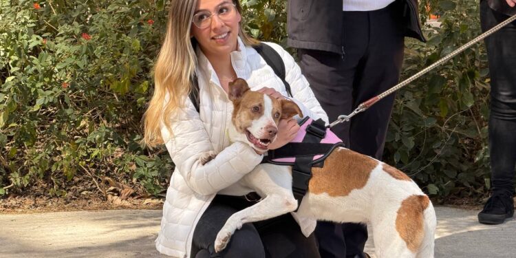 Adoptan a la perrita maratonista