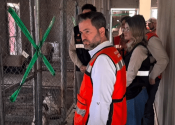 Clausura estado criadero clandestino de perros