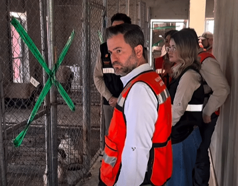 Clausura estado criadero clandestino de perros